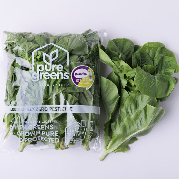 Pure Green Romaine Lettuce (Malaysia) 250g (highest price)